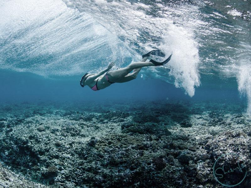 Care for our oceans