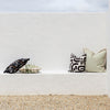 Cushion Cover-Coastal Fringe-Candy Stripe Sage-60cm x 60cm
