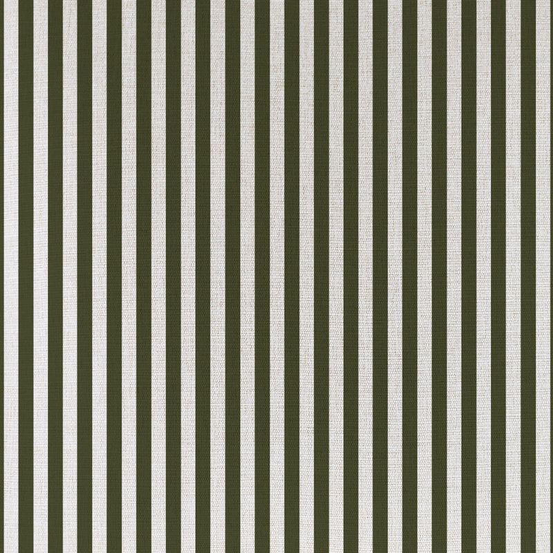 Cushion Cover-Coastal Fringe-Candy Stripe Eucalyptus-60cm x 60cm