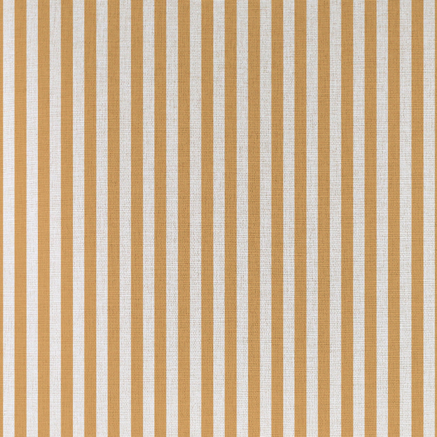 Cushion Cover-With Piping-Candy Stripe Mustard-60cm x 60cm